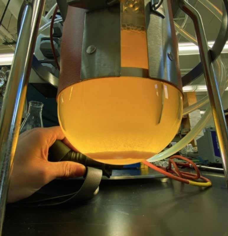 An amber bacterial culture in a laboratory bioreactor